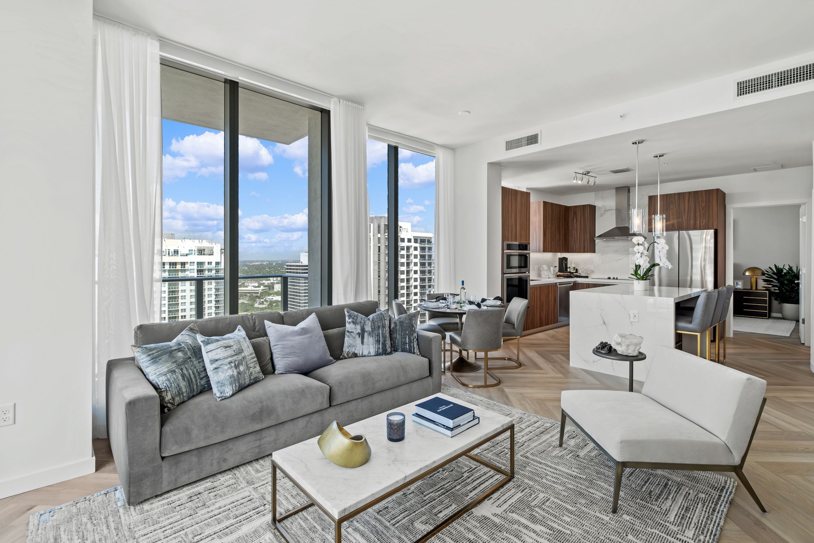 Living room and kitchen